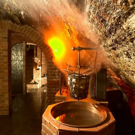 霍夫迈斯特水疗酒店 5*